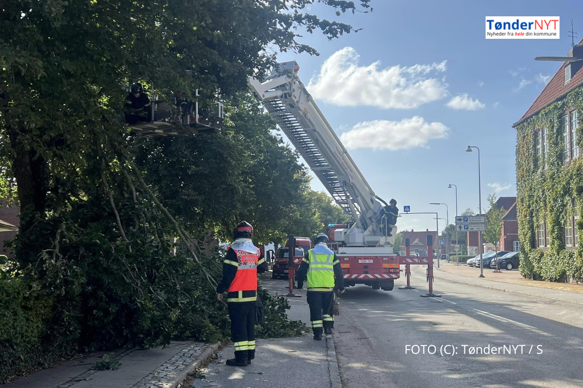 Tønder Frivillige Brandværn måtte ud til knækket grene ved Rådhuset